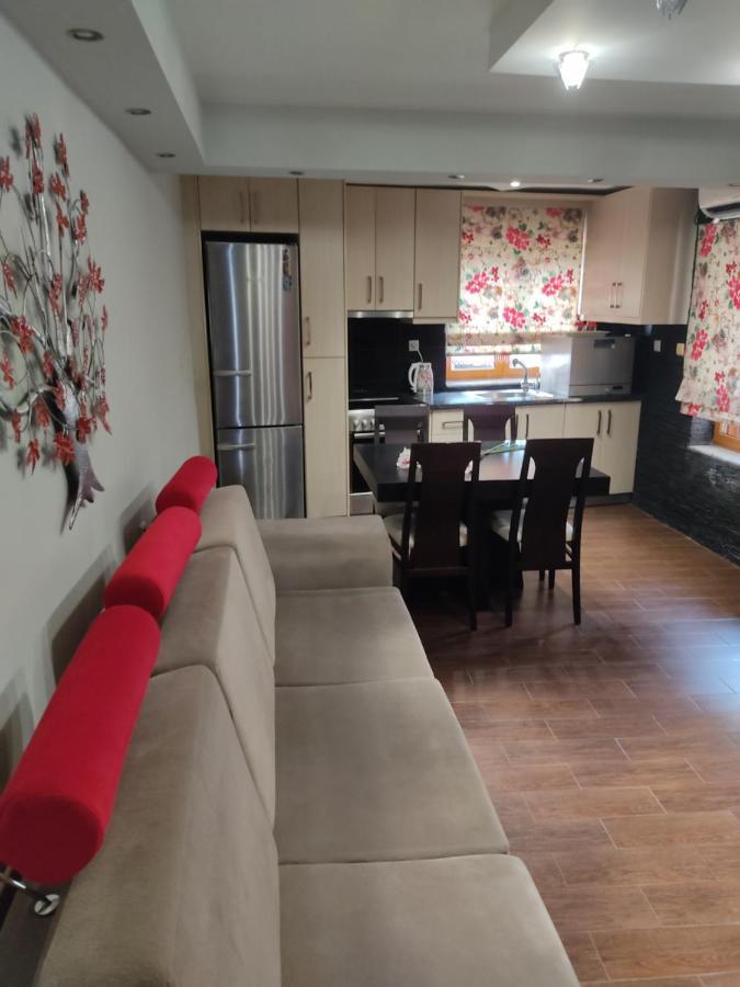 Apartament Elsa'S House Arta Zewnętrze zdjęcie